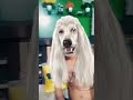 mawakalpothni #funny #viral #comedy