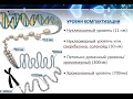 Хроматин уровни компактизации