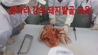 돈처리 강의 앞다리 안성식육학교 김재문 교수 돼지발골강의