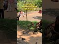 Snake Dance     🐍🔥
