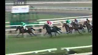 rm 20131112 04 p alcamo