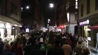 Demonstration I Stockholm 1411 2013