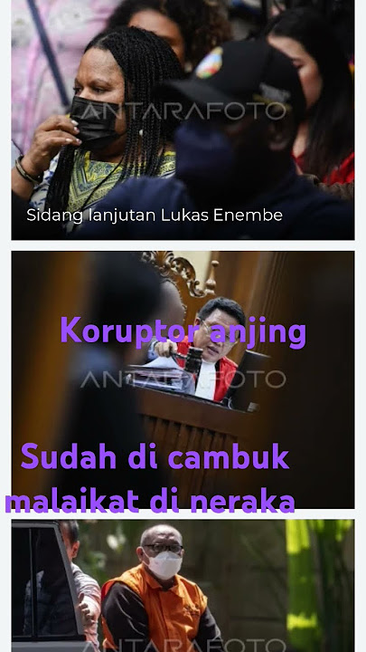 Koruptor anjing babi