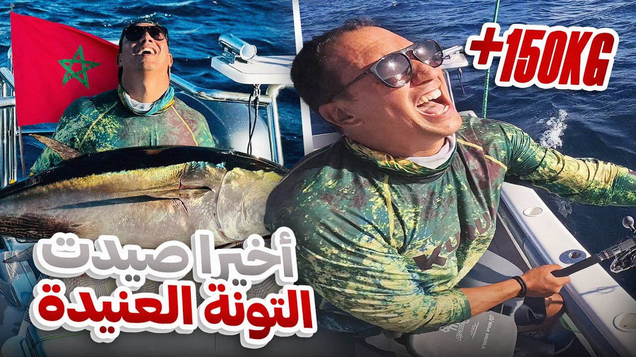 صيد مذهل في جزيرة الوحوش: أكبر وأقوى الأسماك القتالية في العالم! 🐟🔥