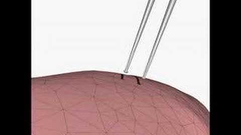 Thesis: Physics Simulation of Deformable Bodies on GPUs