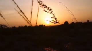 Syair - Indahnya kematian ( Kahlil Gibran)