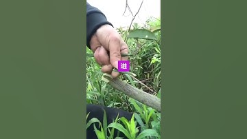 # Hướng dẫn thủ công # cảm ơn công nghệ # nâng cấp chính thức