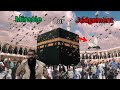 WEIRD INSECTS INVADE KAABA IN MECCA AND TERRIFY MUSLIMS! MIRACLE OR JUDGMENT FROM GOD?