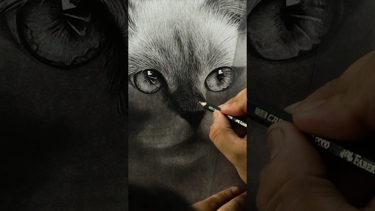 Lets Draw with me😍