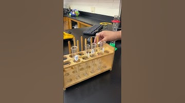 Test Tube Rack
