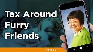 Leveraging Pets and Dogs for Greater Returns and Tax Deductions