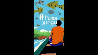 Ribeirinhos e indígenas lutam pela vida do Rio Xingu | #PulsaXingu #Shorts