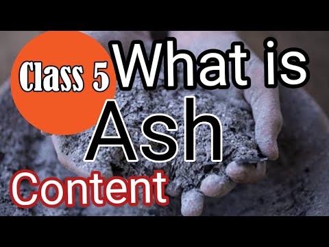 Finding Ash Class 5 How to find out ash content in coal | Identification of ash# ...