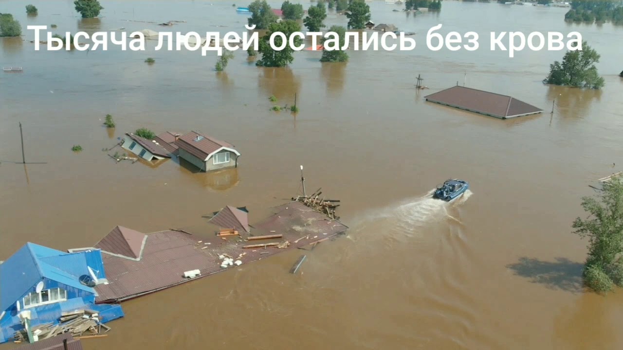 Цунами спб авто