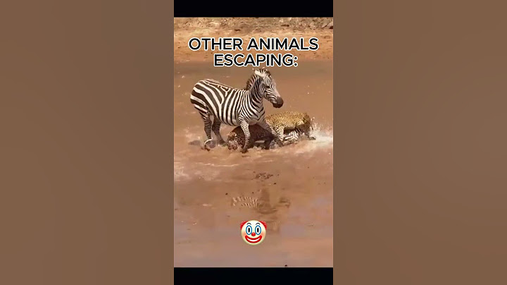 The Art of escaping