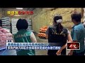 食安風暴與毒油、毒物追查