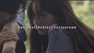 Trke eviri Isabel Larosa  Butterflies