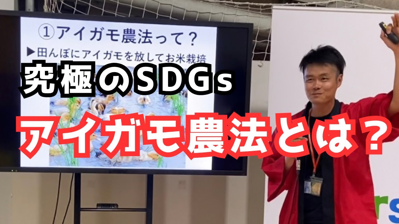 究極のSDGs【アイガモ農法とは？】兵庫県丹波篠山市「井関農園」さんの
