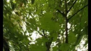 Autumnwatch on Midlands Today - part one