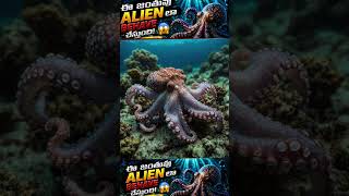 ఆక్టోపస్ ఏలియన్ ఆ? #Octopus #Alien #AnimalMystery #ScienceFacts #DeepSea #9Brains #OceanLife #Viral
