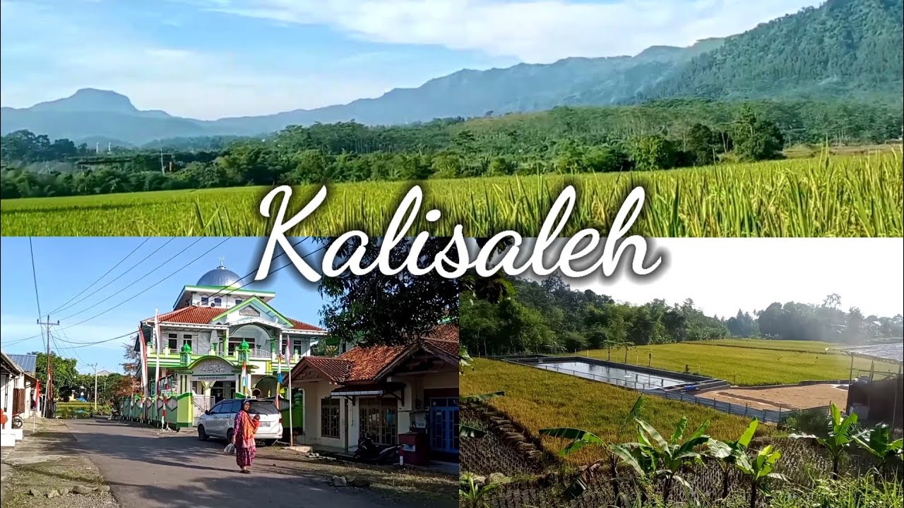 Desa Kalisaleh Nan Asri dan Damai || Kecamatan Belik, Kabupaten Pemalang, Jawa Tengah