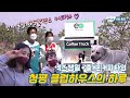 [킥스온에어] 킥스생일+커피트럭과 즐거운 청평의 하루😆