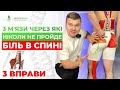 3 М&#39;ЯЗИ, через які НІКОЛИ не пройде спина. Топ-3 ВПРАВИ від болю вдома І Кінезітерапія