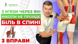 3 М&#39;ЯЗИ, через які НІКОЛИ не пройде спина. Топ-3 ВПРАВИ від болю вдома І Кінезітерапія