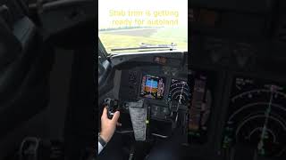 Real Boeing Pilot Autoland #Shorts