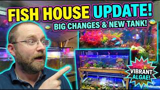 Huge Fish Room Tour! Massive Macroalgae Explosion & Tank Updates