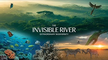 “The Invisible River | Extraordinary Biodiversity” #youtube