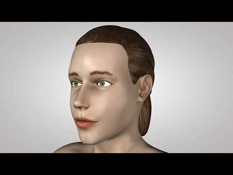 3D - Анализатор(АЪЗОИ ҲИС). - Анализатори ломиса