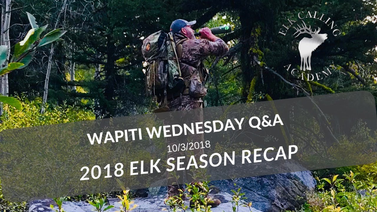 Archery Elk Season Hunt Recap | Wapiti Wednesday Q&A - EP 35
