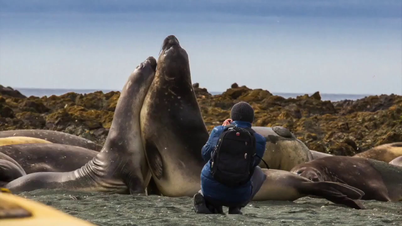 End of Year Summary 2019 with Heritage Expeditions
