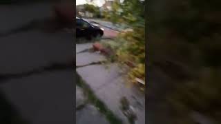 🏚️ 2 Story Fix & Flip Sold Sight 🙈 Unseen Cleveland, OH 🏠💥