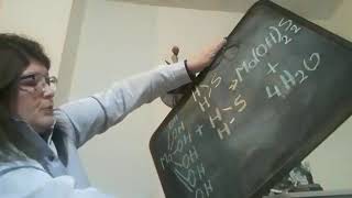 sales halógenas básicas