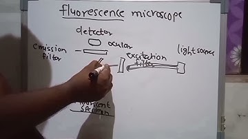 Fluorescence microscopy|Fluorescence|हिंदी में| #fluorescence