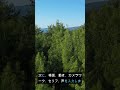 Grok ImagineでAIインフルエンサーを作る方法