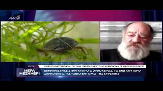 Λιθόκερος – ANT1 TV – Μέρα Μεσημέρι - Με τον Γιώργο Κωνσταντίνου – 20/3/2023 by George konstantinou - Cyprus Wildlife tours 57 views 1 month ago 5 minutes, 9 seconds