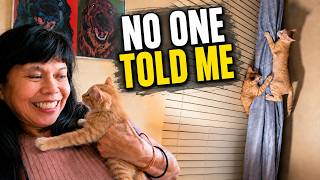 Things I Wish I Knew Before Adopting a Cat