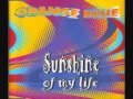 Orange Blue - Sunshine Of My Life (Radio Edit)