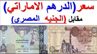 سعر الدرهم الامارتي مقابل الجنيه المصري اليوم