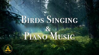 ★︎Soothing Piano Music★︎ - NO ADS - Relaxing Birds Singing For Stress Relief.
