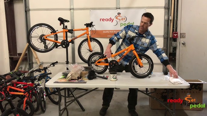 frog bike 40