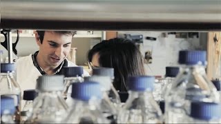 ITQB NOVA, a great choice for your PhD ITQB NOVA, a great choice for your PhD