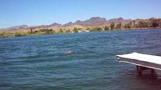 MOV01425.AVI