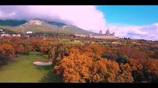 El bosque encantado de La Herrería