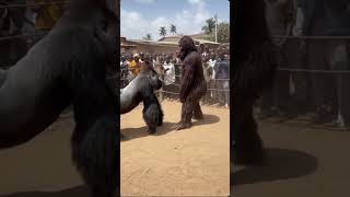 “Bigfoot’s First Forest Vlog – Giant Hands Chaos! 😂📹”