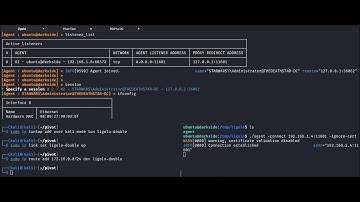 Performing Network Pivoting with Ligolo-ng (double pivot)