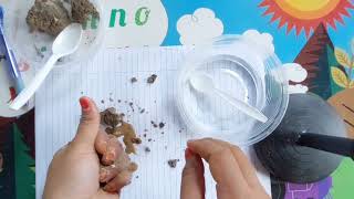 LAB EVT533 (EXPERIMENT SOIL TEXTURE AND SOIL COLOR)